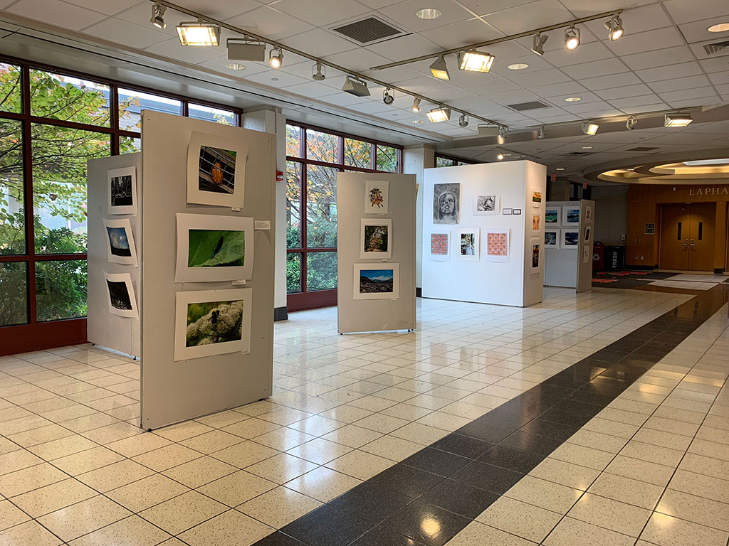 Annual Summer Art Show displays variety of work