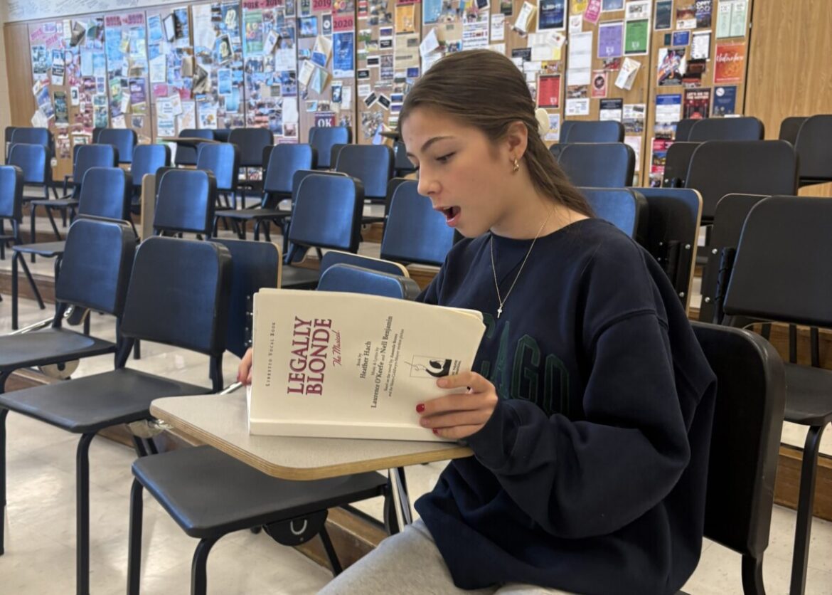 NCHS theater performers give advice on the audition process